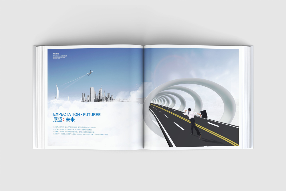 横山县画册设计